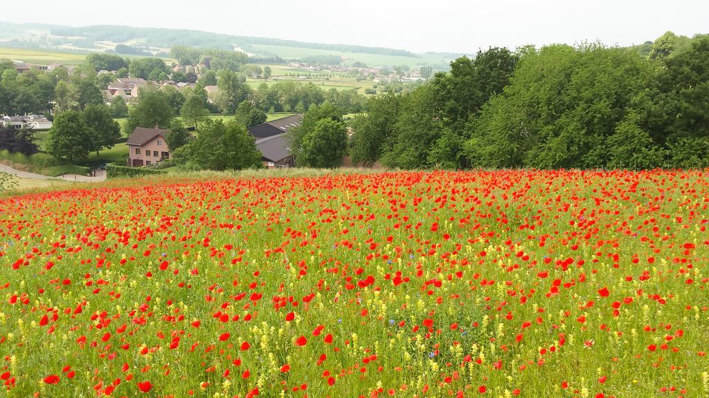 Belle - Mooi Zuid Limburg Simpelveld Exterior foto